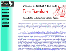 Tablet Screenshot of barnhartlofts.com